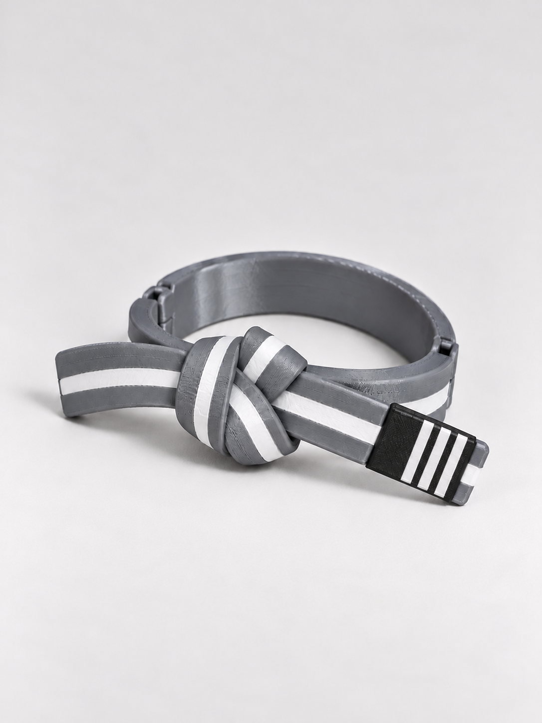 BJJ Belt Decor
