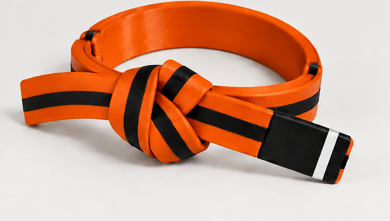 BJJ Belt Decor | Personalized Belt, Choose Color & Stripes
