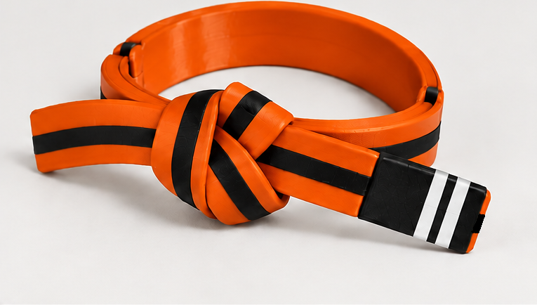 BJJ Belt Decor | Personalized Belt, Choose Color & Stripes