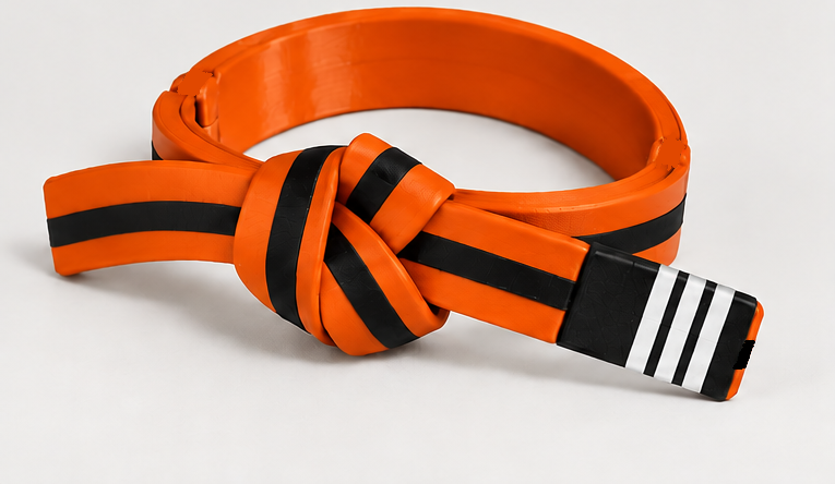 BJJ Belt Decor | Personalized Belt, Choose Color & Stripes