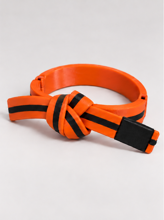 BJJ Belt Decor | Personalized Belt, Choose Color & Stripes