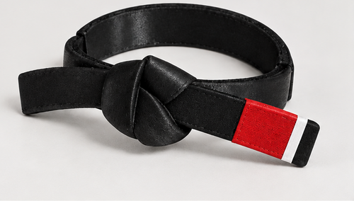 Personalized BJJ belt decor in your choice of belt color and stripes, view 2