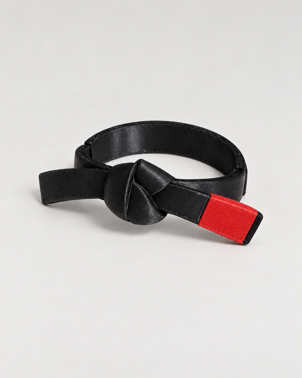 Personalized BJJ belt decor in your choice of belt color and stripes, view 1