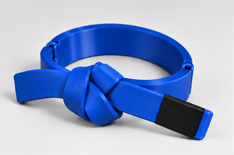 Personalized BJJ belt decor in your choice of belt color and stripes, view 7