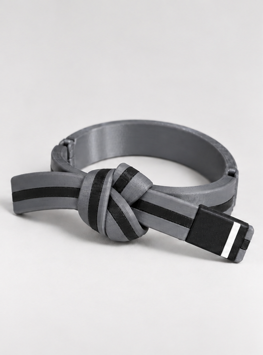 BJJ Belt Decor