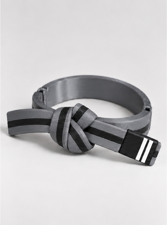 BJJ Belt Decor
