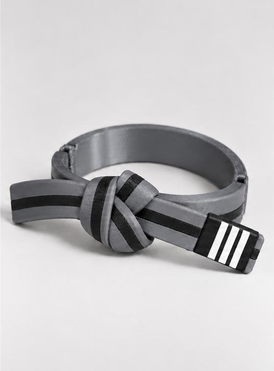 BJJ Belt Decor