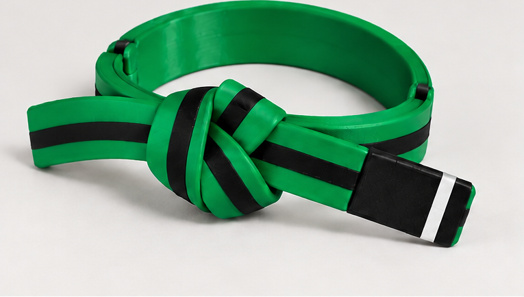 BJJ Belt Decor | Personalized Belt, Choose Color & Stripes