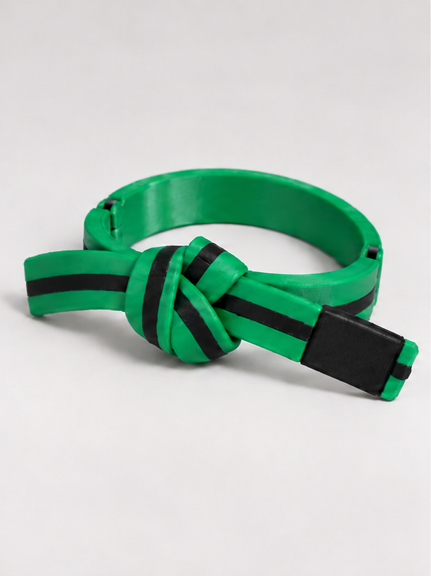 BJJ Belt Decor | Personalized Belt, Choose Color & Stripes