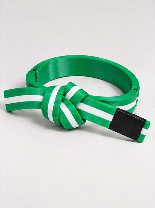 BJJ Belt Decor | Personalized Belt, Choose Color & Stripes
