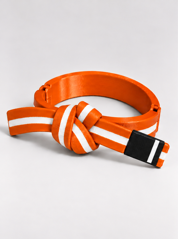 BJJ Belt Decor | Personalized Belt, Choose Color & Stripes