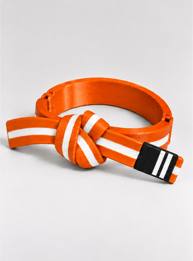 BJJ Belt Decor | Personalized Belt, Choose Color & Stripes