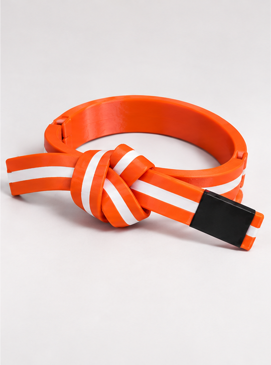 BJJ Belt Decor | Personalized Belt, Choose Color & Stripes