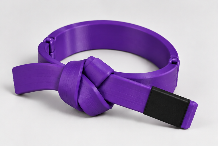 BJJ Belt Decor | Personalized Belt, Choose Color & Stripes