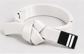 BJJ Belt Decor | Personalized Belt, Choose Color & Stripes