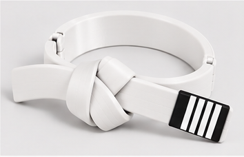 BJJ Belt Decor | Personalized Belt, Choose Color & Stripes