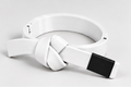 BJJ Belt Decor | Personalized Belt, Choose Color & Stripes
