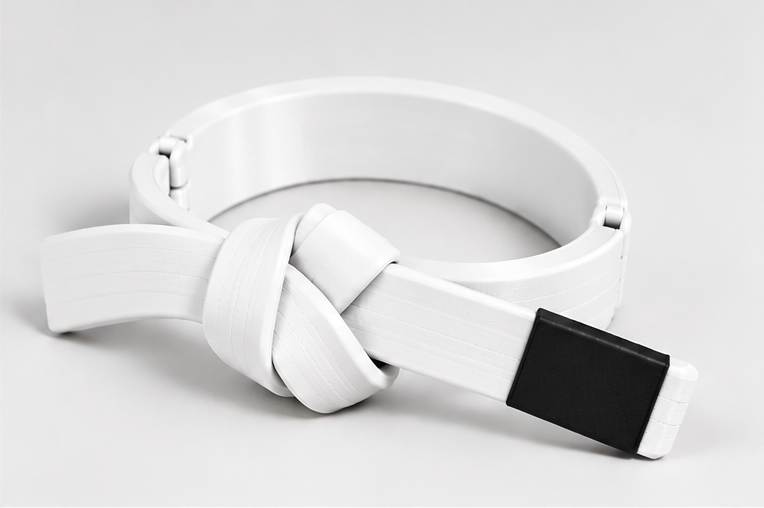 BJJ Belt Decor | Personalized Belt, Choose Color & Stripes