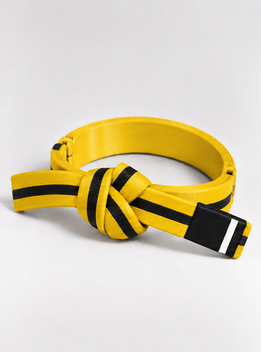 BJJ Belt Decor | Personalized Belt, Choose Color & Stripes