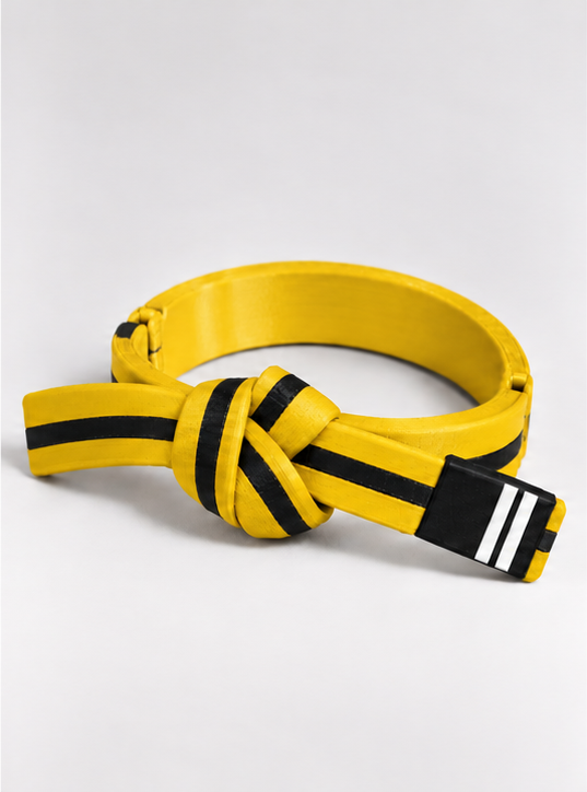 BJJ Belt Decor | Personalized Belt, Choose Color & Stripes