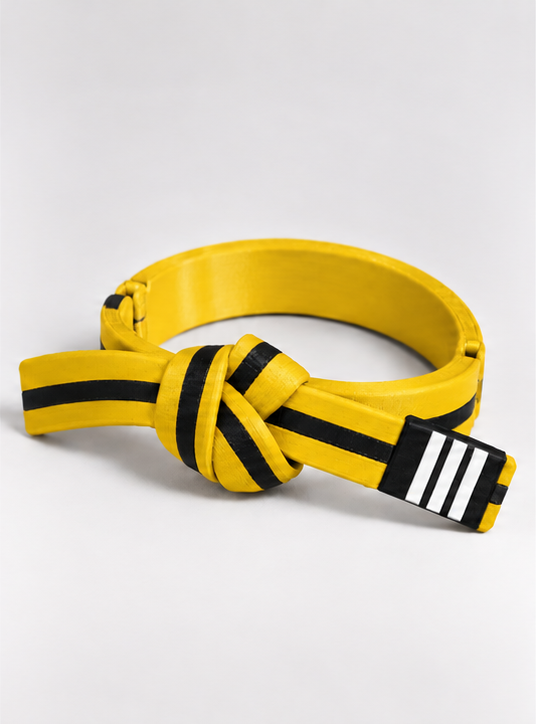 BJJ Belt Decor | Personalized Belt, Choose Color & Stripes