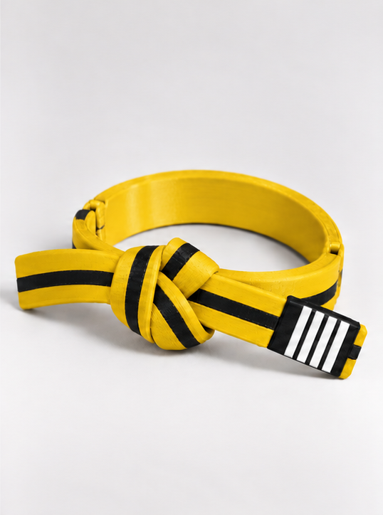 BJJ Belt Decor | Personalized Belt, Choose Color & Stripes