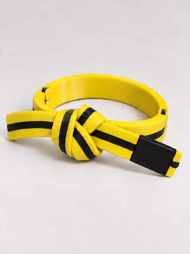 BJJ Belt Decor | Personalized Belt, Choose Color & Stripes