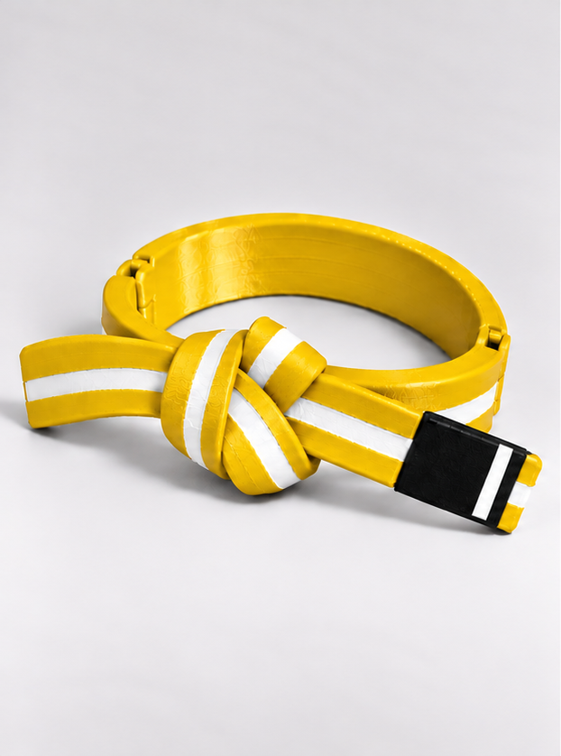 BJJ Belt Decor | Personalized Belt, Choose Color & Stripes