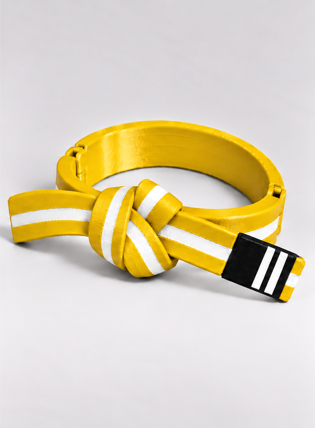 BJJ Belt Decor | Personalized Belt, Choose Color & Stripes