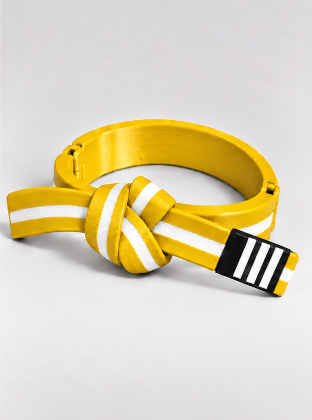 BJJ Belt Decor | Personalized Belt, Choose Color & Stripes