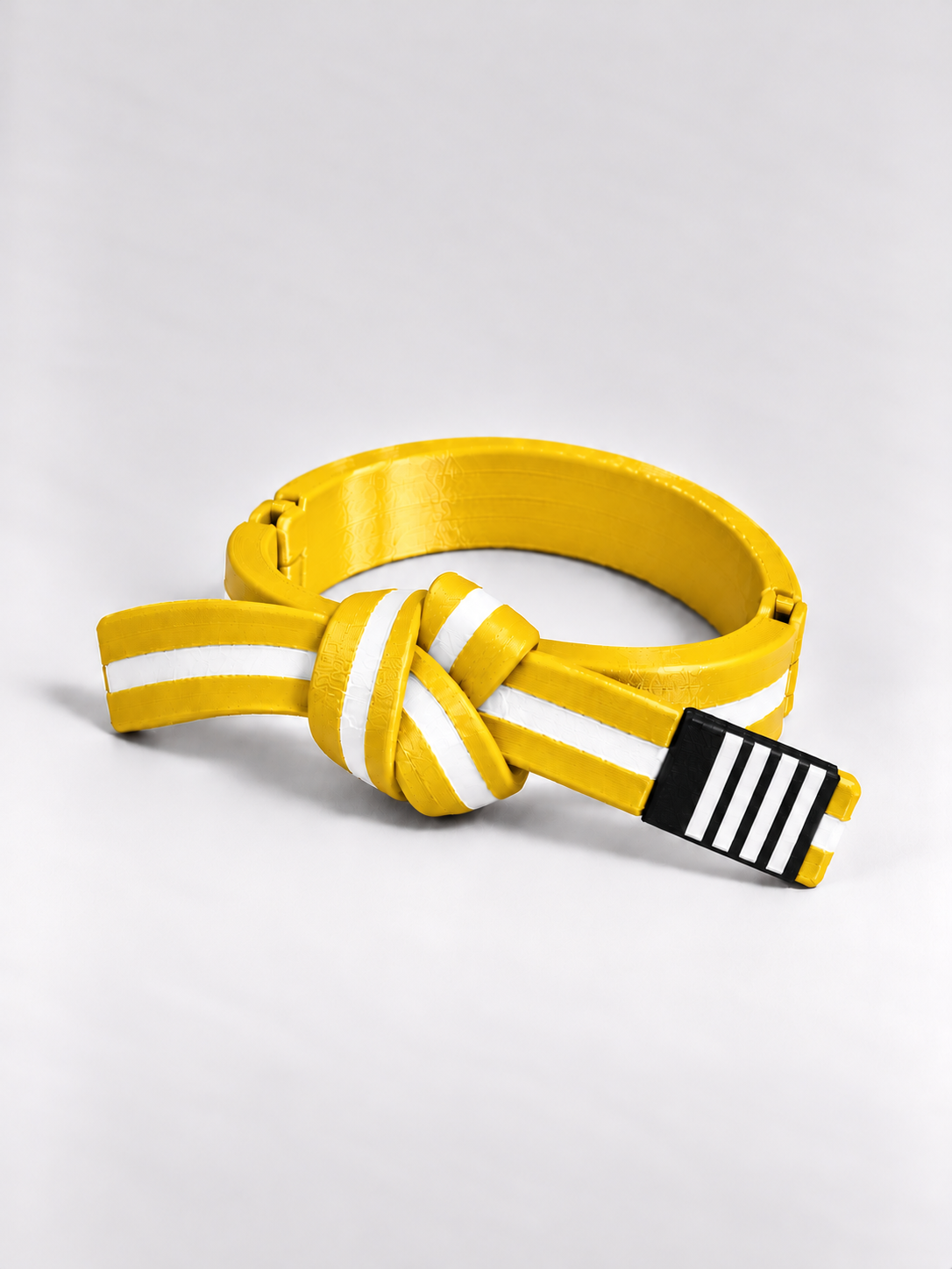 BJJ Belt Decor | Personalized Belt, Choose Color & Stripes