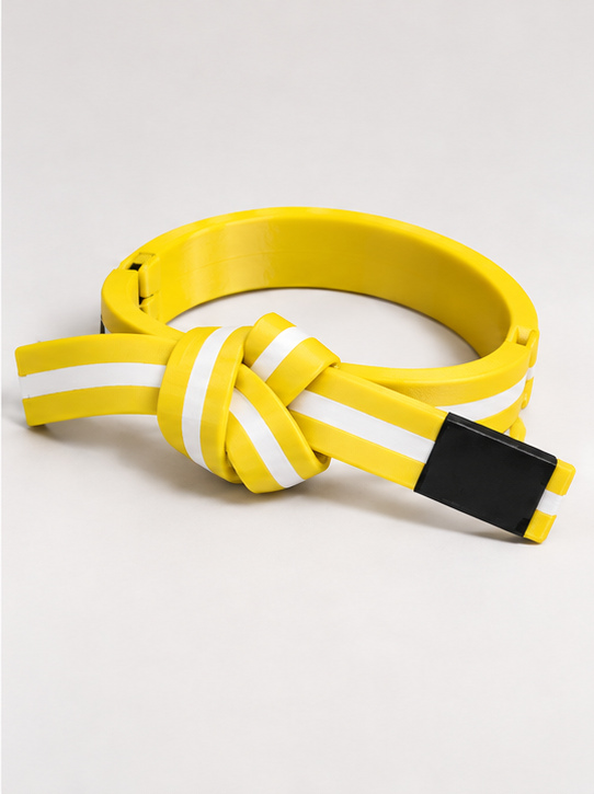 BJJ Belt Decor | Personalized Belt, Choose Color & Stripes